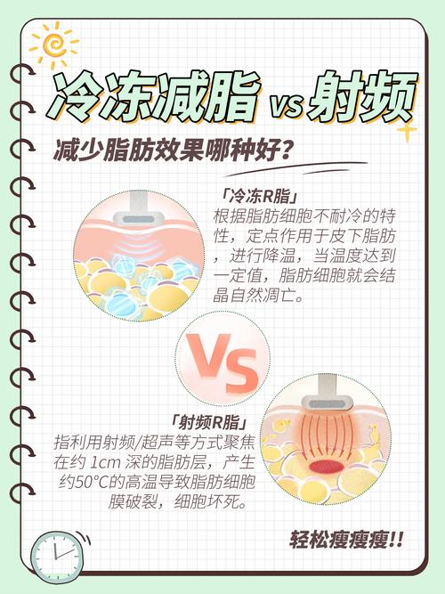 详细阅读:冷冻溶脂:减脂效果全解析 冷冻溶脂:减脂效果全解析