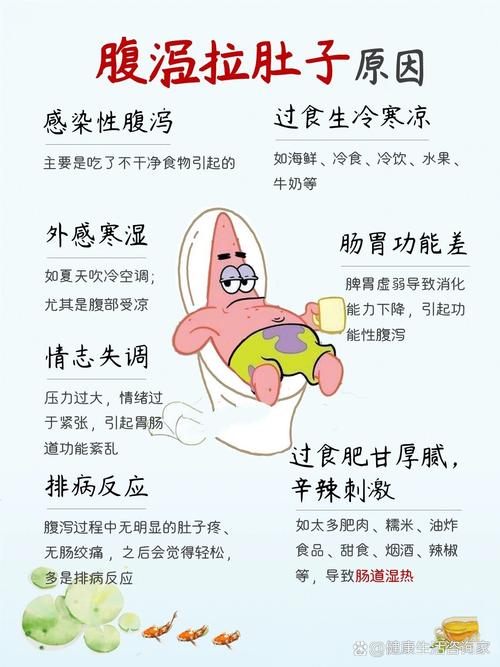 “腹泻的奥秘与应对之策：一场身体与不良状况的较量”