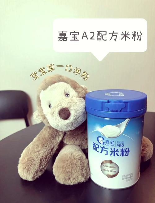 婴儿米粉：宝宝成长路上的营养伴侣