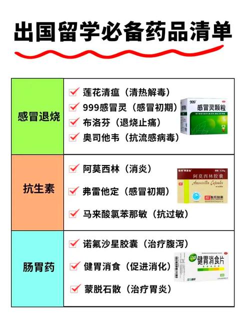 详细阅读:旅行必备药品全攻略:让旅途健康无忧 旅行必备药品全攻略:让旅途健康无忧