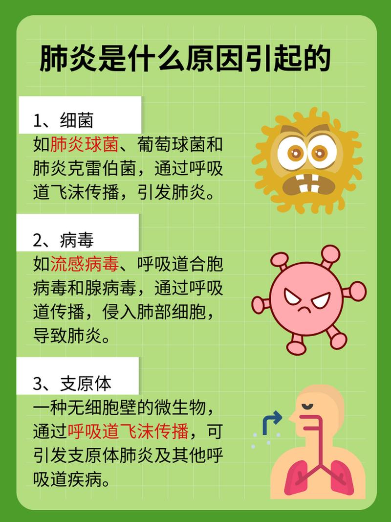 肺炎：危害、预防与治疗全解析