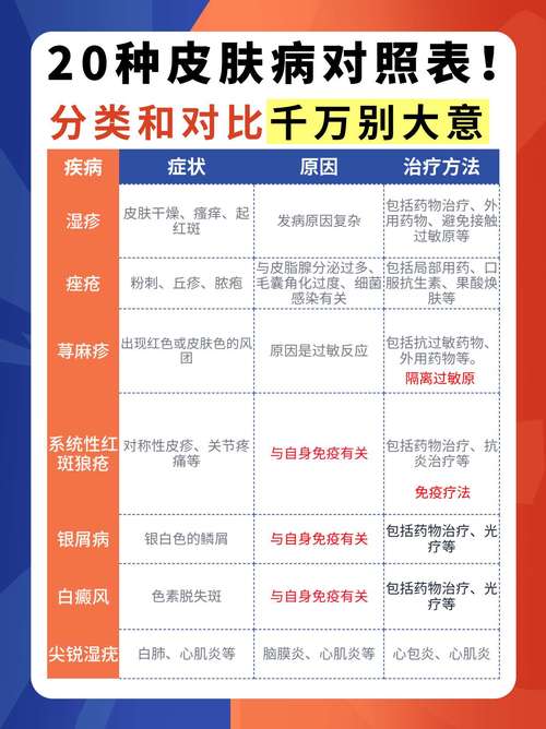皮肤病的常见类型、成因与日常防护