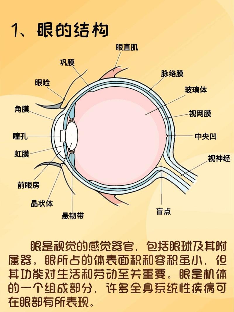 详细阅读:图像传感器:数字时代的“视觉之眼” 图像传感器:数字时代的“视觉之眼”