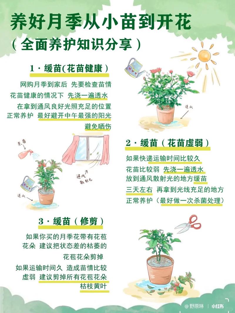 详细阅读:花卉种植成活的关键要点与技巧 花卉种植成活的关键要点与技巧