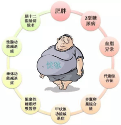 肥胖：健康与社会的沉重负担