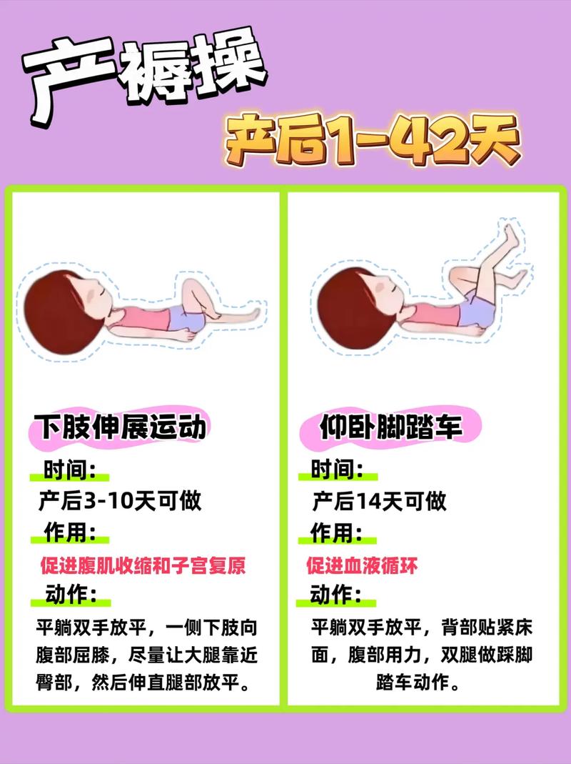 产后护理全攻略：助力新手妈妈身体与心灵的双重康复