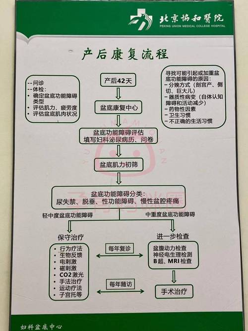 产后护理流程全解析：助力新手妈妈科学康复