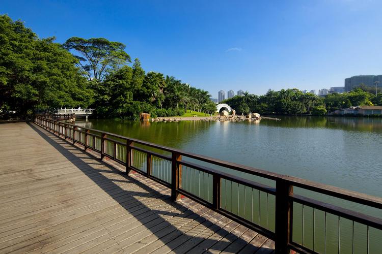 深圳东湖公园：城市中的自然宝藏
