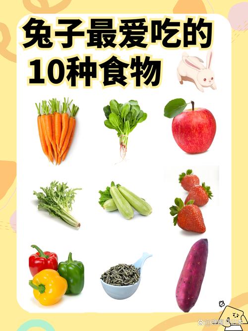 食材多样性组合：开启味蕾与健康的多元盛宴