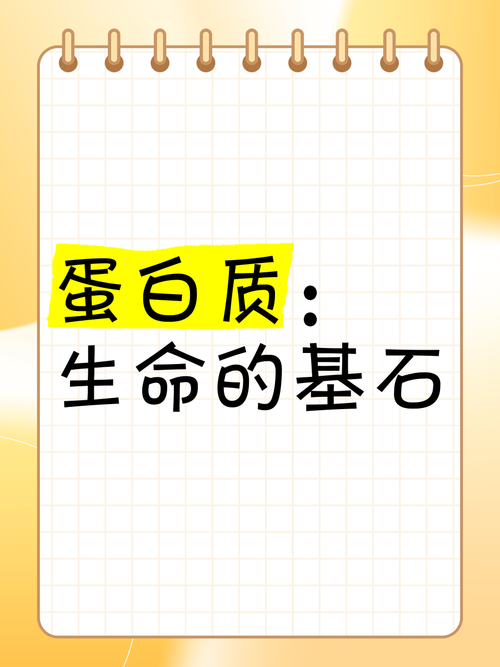 详细阅读:蛋白质:生命的基石与奇妙构建者 蛋白质:生命的基石与奇妙构建者