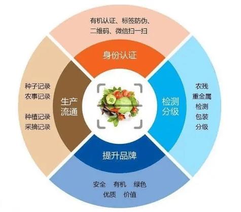 食材挑选效率提升：从源头到餐桌的品质保障与时间优化