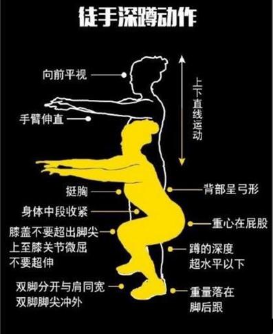 深蹲：解锁全身锻炼的黄金动作