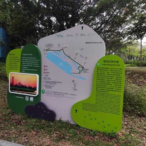 探秘福田红树林生态公园：自然与城市的和谐共生