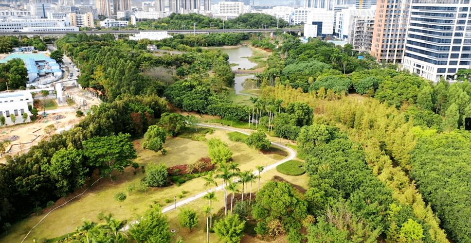 聚龙山生态公园：城市绿肺中的“世外桃源”