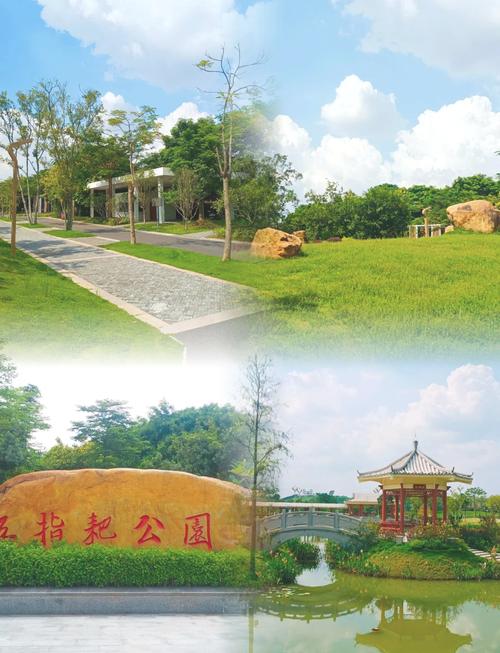 探索深圳松岗公园：城市绿肺中的休闲胜地