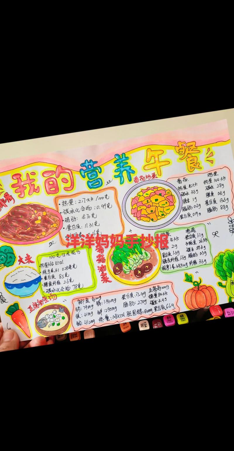 午餐智慧之选：营养、美味与便捷并重的完美搭配