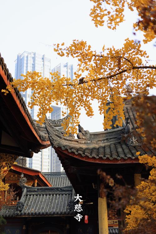 大慈寺：千年古刹，历史与现代交融的文化明珠