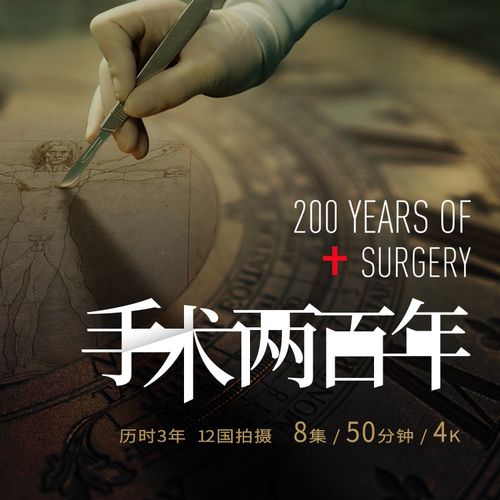 详细阅读:手术:生死时速间的精准艺术与心灵救赎 手术:生死时速间的精准艺术与心灵救赎