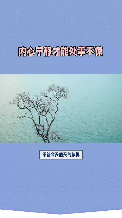 详细阅读:以自信之姿,守冷静之心 以自信之姿,守冷静之心