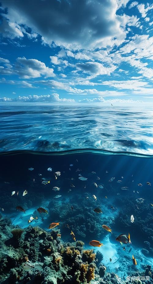 详细阅读:畅享海水浴:身心与自然的奇妙交融 畅享海水浴:身心与自然的奇妙交融