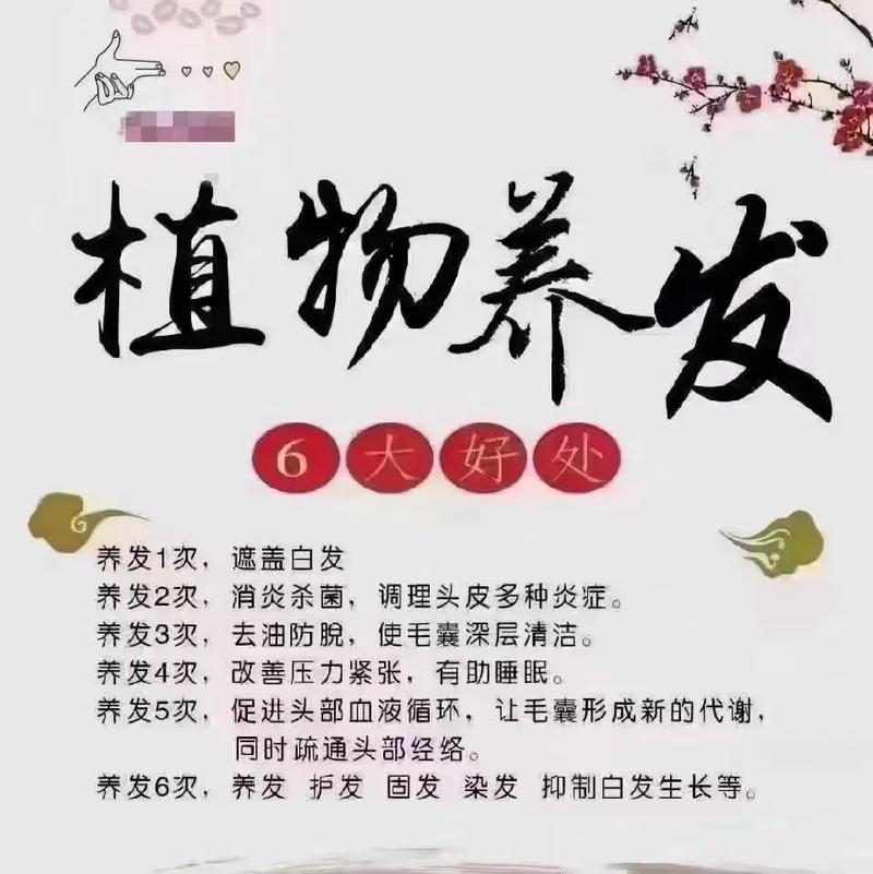 “植萃养发：探寻头发护理中的植物奥秘”