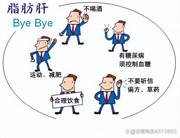 详细阅读:脂肪肝的防治措施 脂肪肝的防治措施