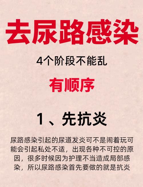 尿路感染的全面治疗指南：从预防到康复
