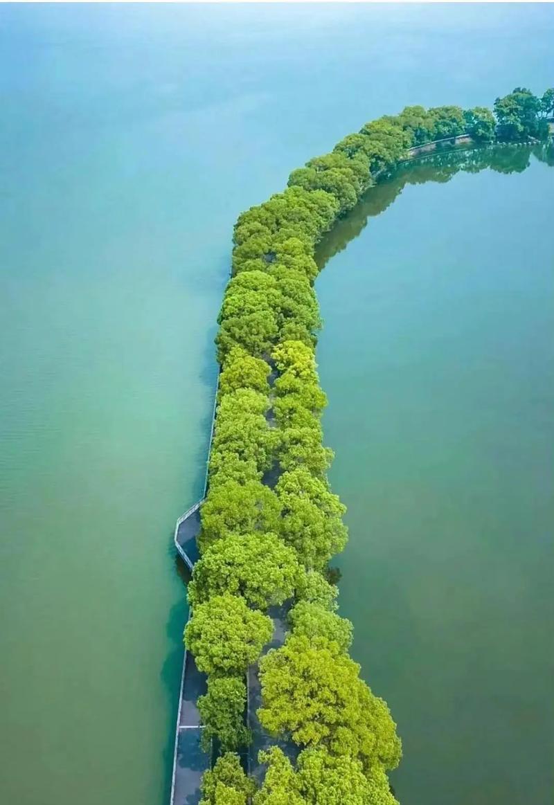 东湖公园：城市绿肺，休闲胜地