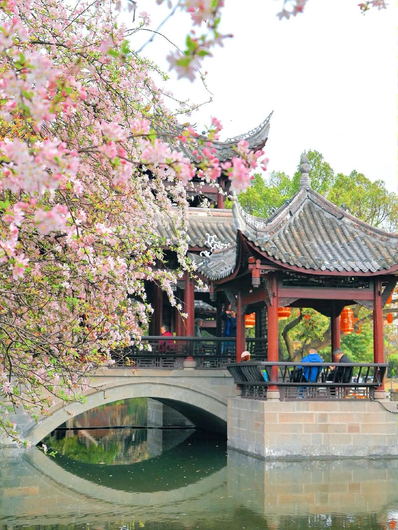 走进棠湖公园：巴蜀园林的璀璨明珠