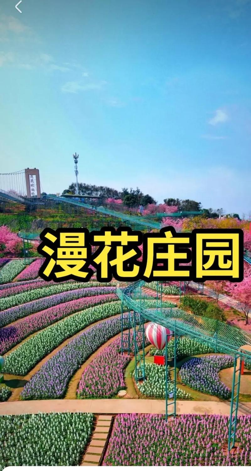 详细阅读:漫花庄园:繁花盛绽的梦幻之境 漫花庄园:繁花盛绽的梦幻之境