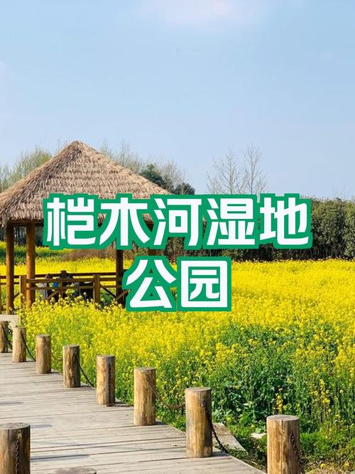 详细阅读:桤木河湿地公园:生态与文化的完美融合之旅 桤木河湿地公园:生态与文化的完美融合之旅