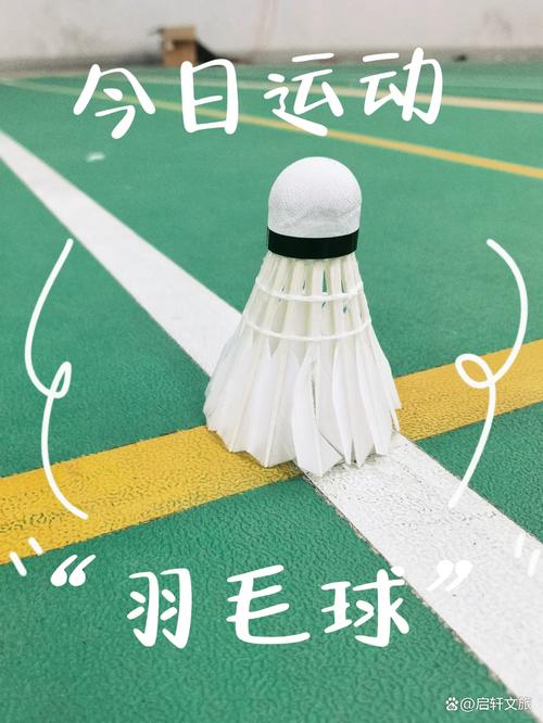 详细阅读:羽毛球:羽动飞扬,畅享运动魅力 羽毛球:羽动飞扬,畅享运动魅力