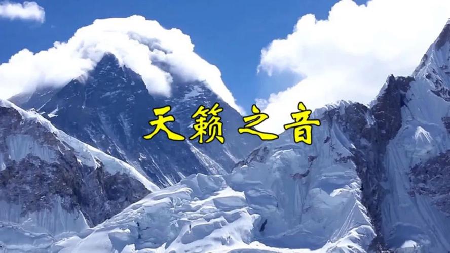 聆听天籁：一场震撼心灵的音乐会之旅