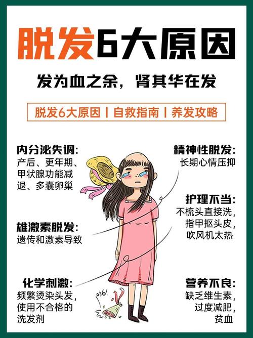 深度解析头发护理与脂溢性脱发应对策略
