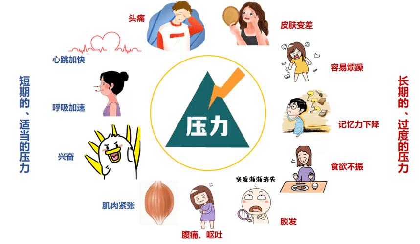 详细阅读:压力对皮肤的影响机制:深入解析与应对策略 压力对皮肤的影响机制:深入解析与应对策略