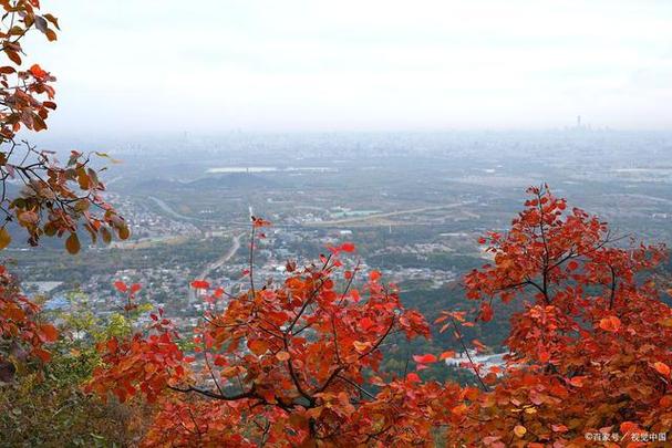 探秘香山公园：历史、自然与文化的完美融合