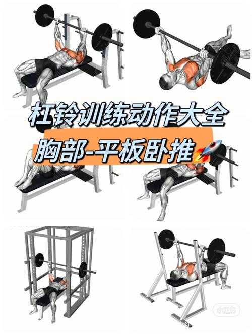 杠铃训练的黄金技巧：解锁力量与效率的新维度