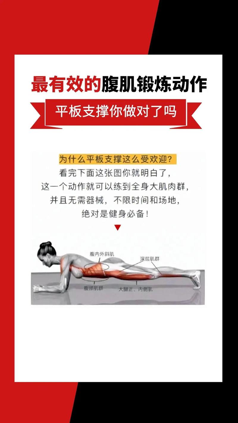 平板支撑的练习方法：全面指南与技巧精要