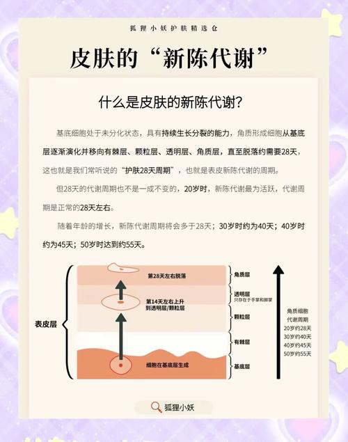全身去角质的频率与方法：肌肤焕新的秘诀