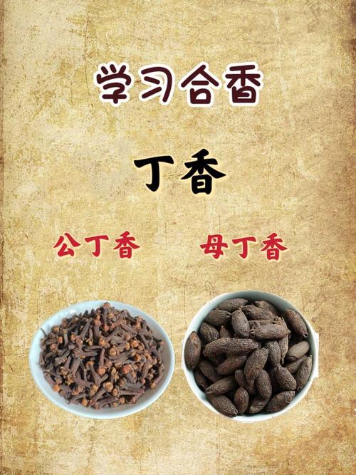 丁香粉：香料中的点“香”之笔