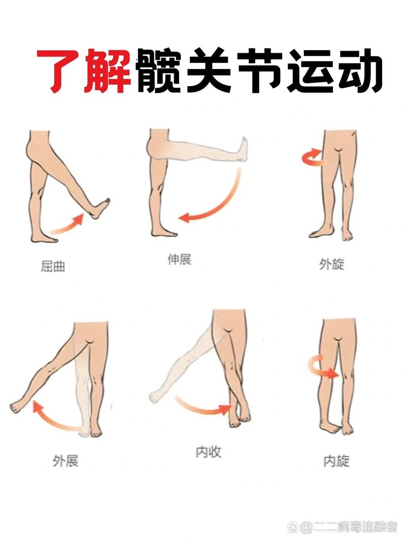 运动与关节健康的关系