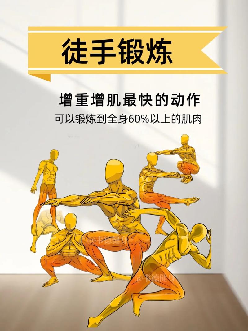 运动：肌肉健康的“守护者”与“塑造者”