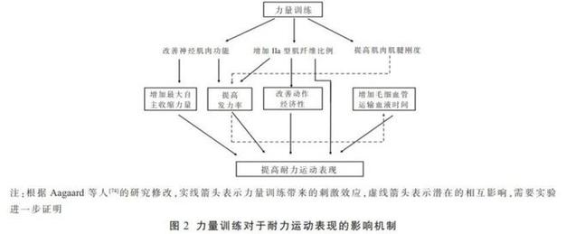 详细阅读:运动与疲劳恢复:深度解析身体的自我修复机制 运动与疲劳恢复:深度解析身体的自我修复机制