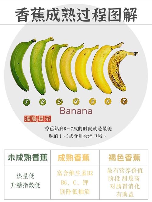 香蕉种植：从土地到果实的甜蜜历程