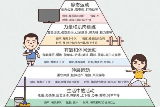 运动与身体肌肉记忆的关系