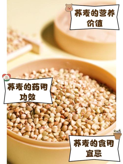 探秘荞麦末：自然馈赠的健康宝藏