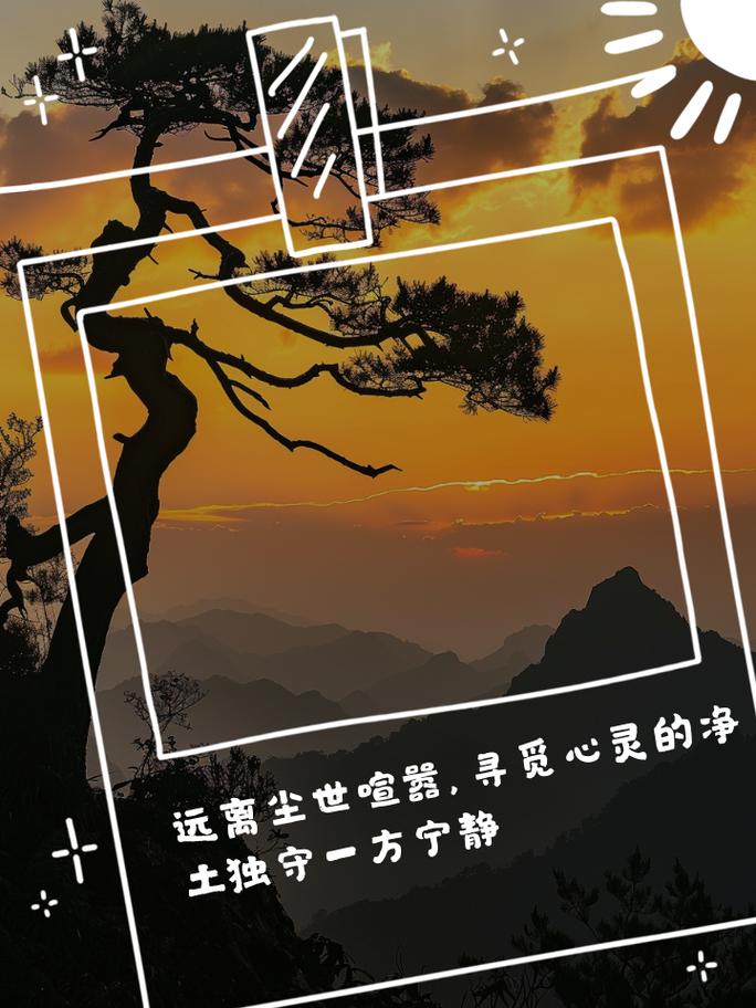一场与心灵的奇妙约会：在喧嚣尘世中寻回内心的宁静