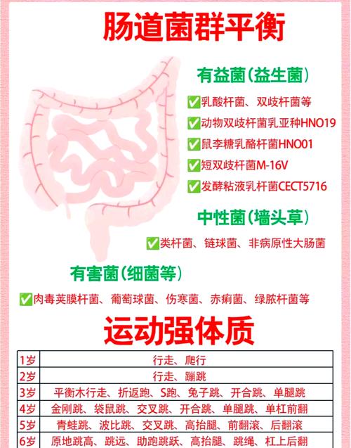 “肠”识新力量：膳食纤维在奶粉中的神奇之旅