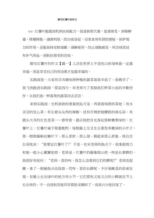 详细阅读:以下是一份关于红薯叶末的文章: 以下是一份关于红薯叶末的文章: