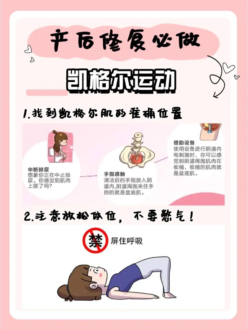 产后恢复运动：重绽活力，雕琢新身